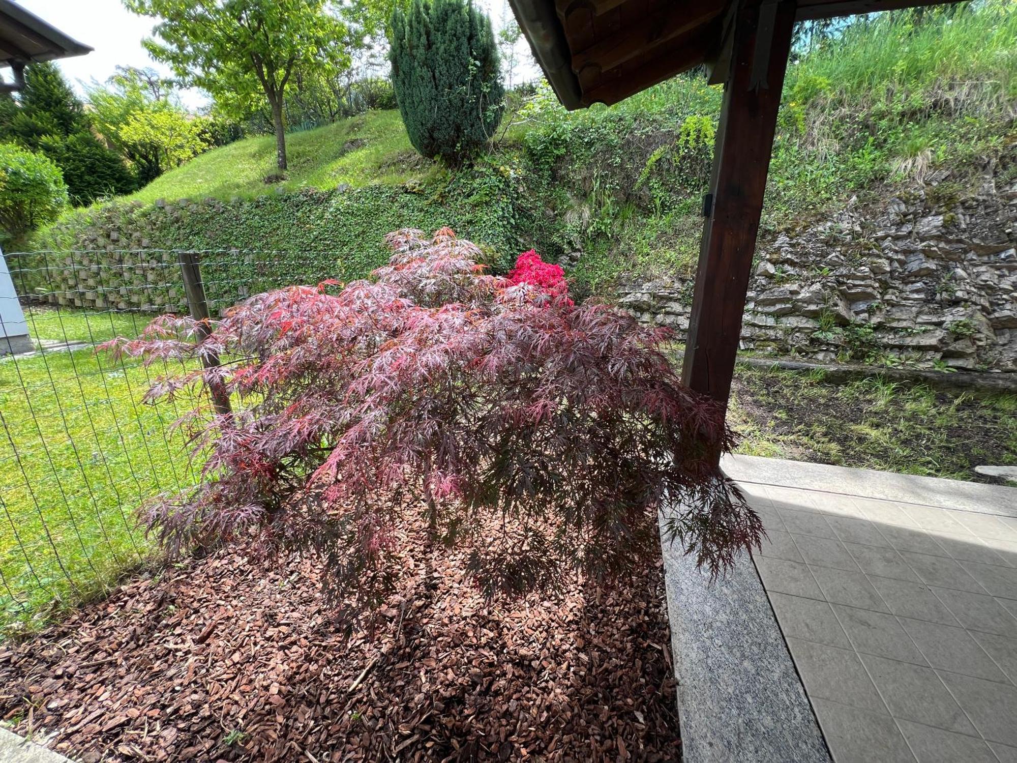 Villa L'Acero Rosso - Giardino Privato E Box Auto Menaggio Exterior foto