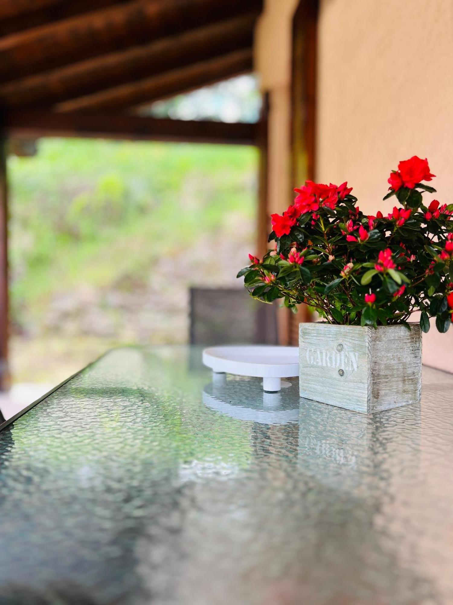 Villa L'Acero Rosso - Giardino Privato E Box Auto Menaggio Exterior foto